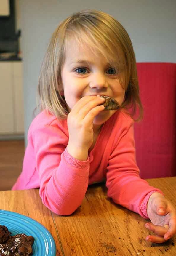 MooMama Scratch & Grain AllNatural Cookie Kits with Organic Ingredients