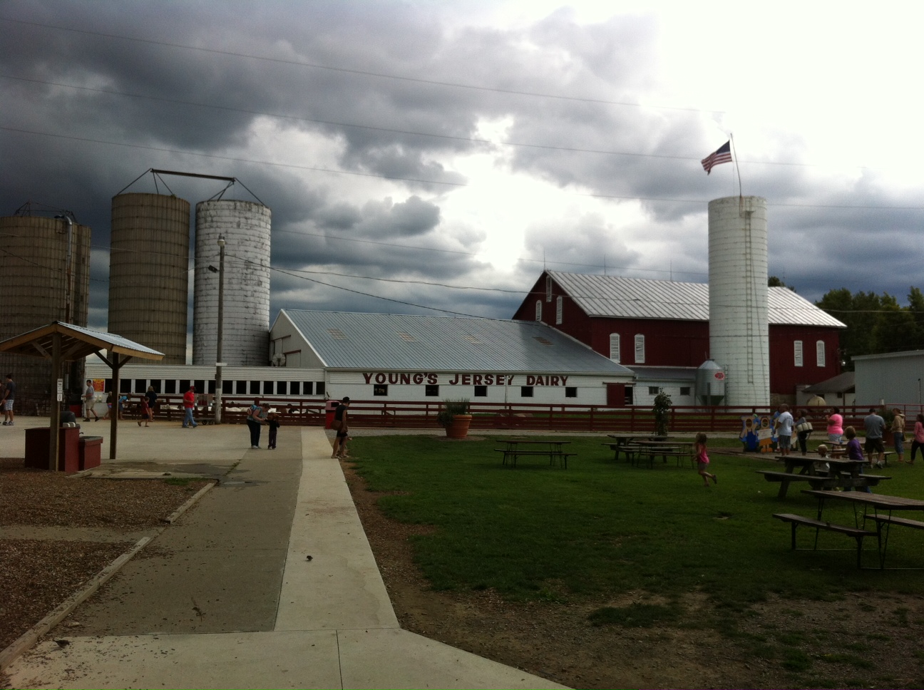 Madisono's Gelato A visit to Young's Dairy