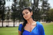 Neelam Upadhyay Hot pics in Blue saree-thumbnail-6