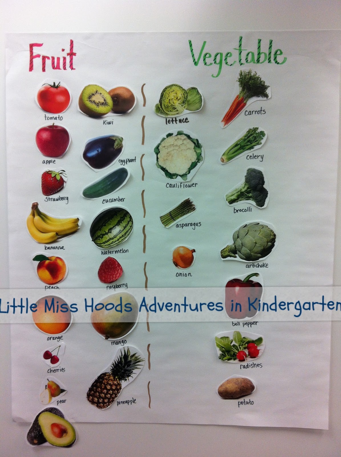 Little Miss Hood's Adventures in Kindergarten: Plants