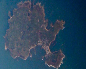 Pulau Mirip Pohon
