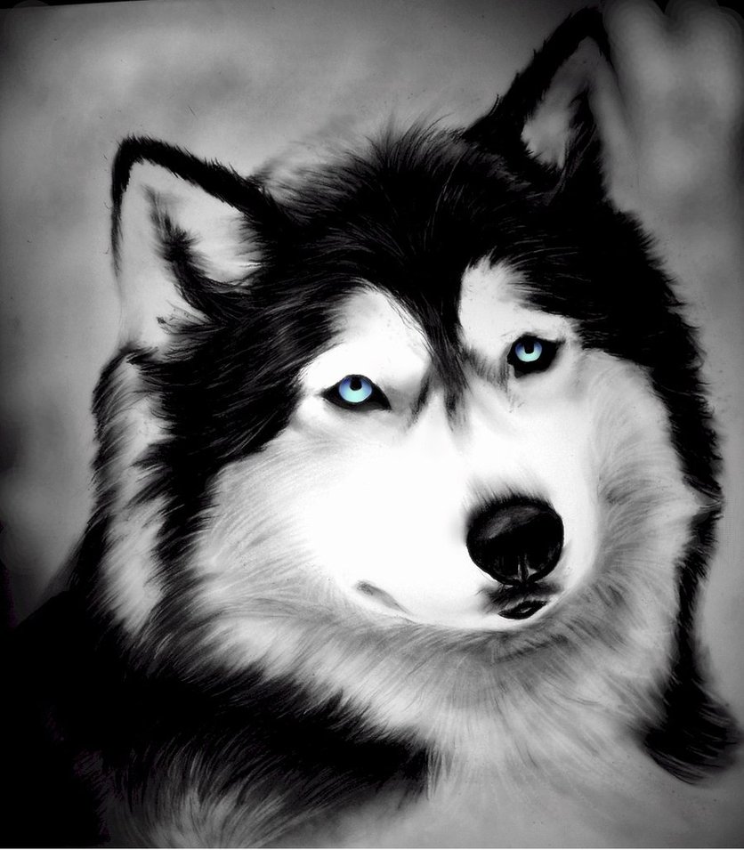 CHARCOAL DRAWINGS charcoal drawings: