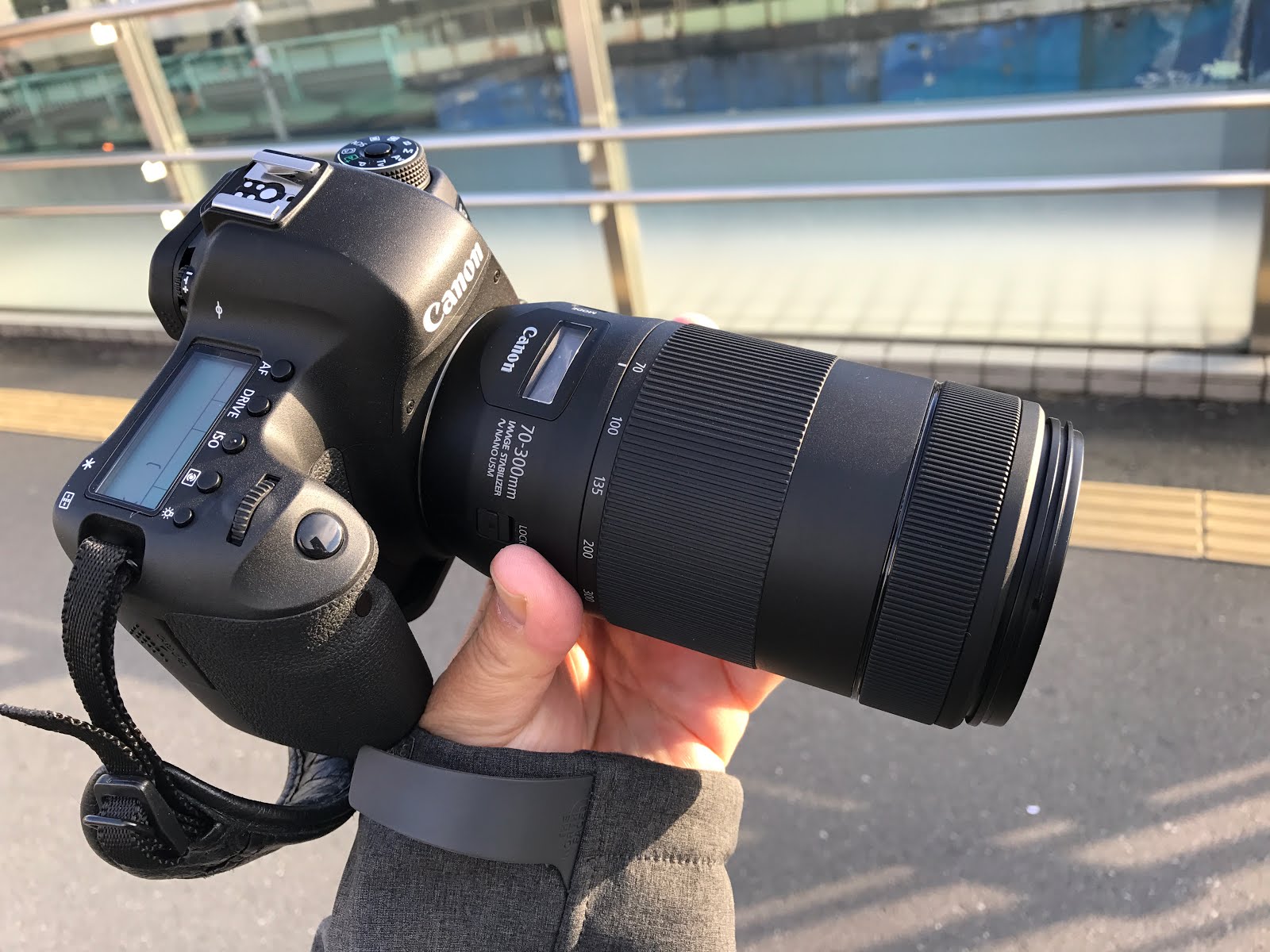 B-log Cabin Blogger: [Review] Canon EF 70-300mm f4-5.6 IS II USM