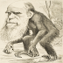 L’evolució encara és vàlida pels humans?