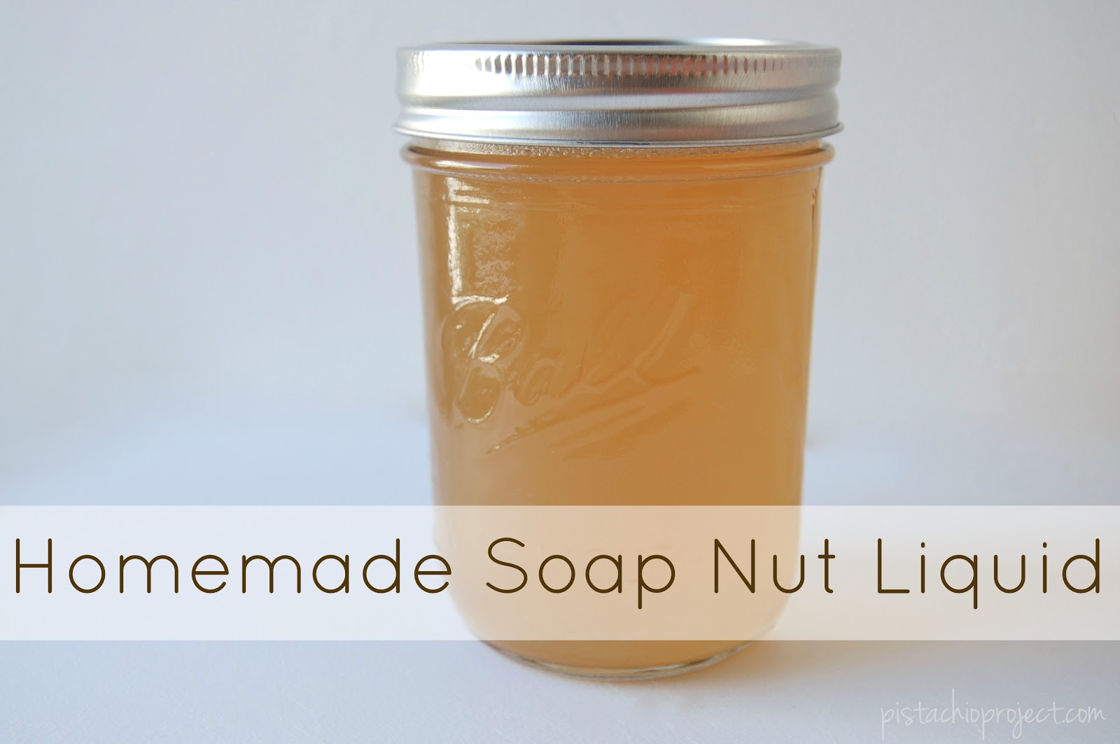 The Pistachio Project Homemade Soap Nut Liquid