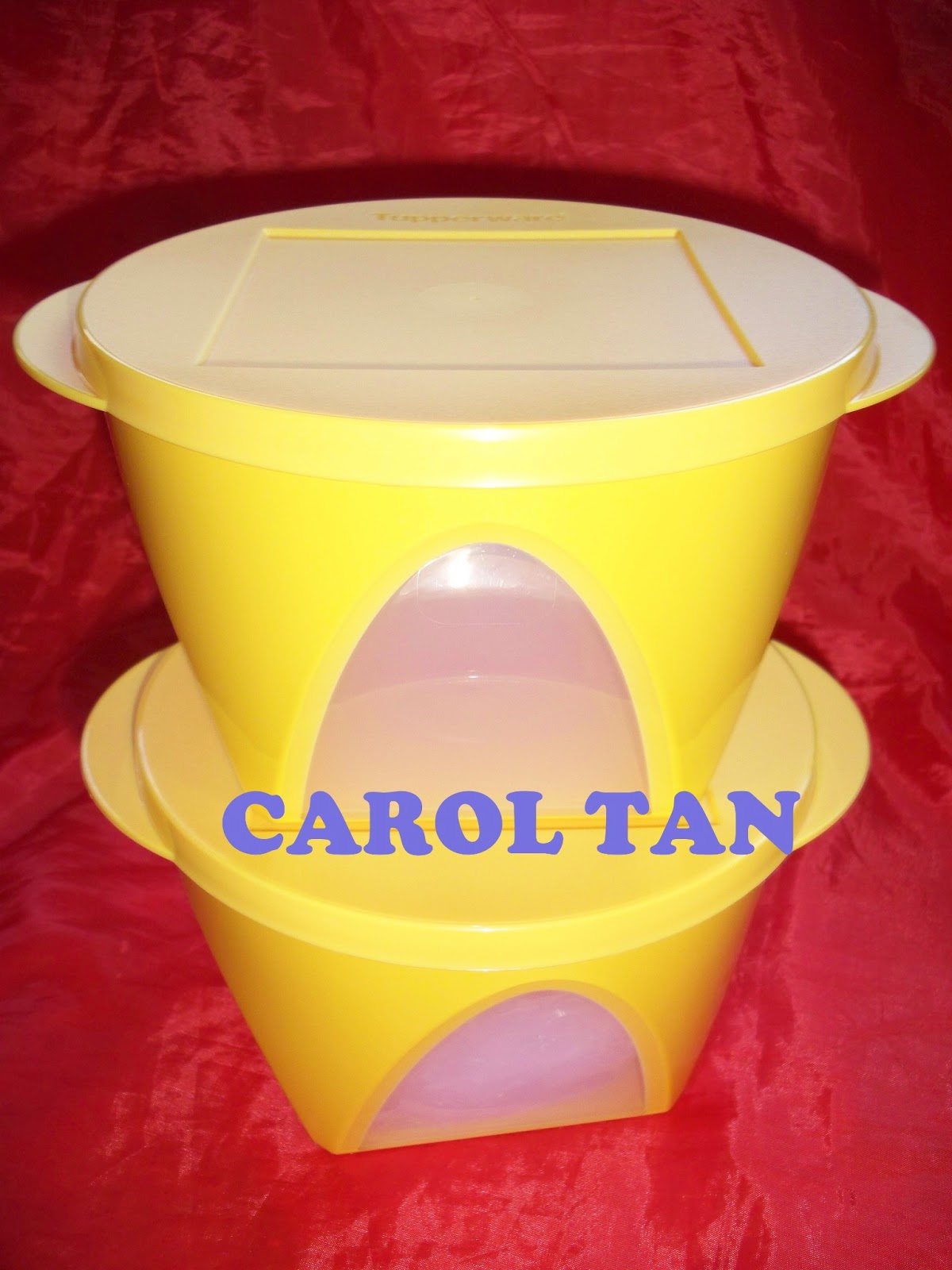 Simply Tupperwares TUPPERWARE OUTDOOR BOWLS, TUMBLER AND 1.7L PITCHER