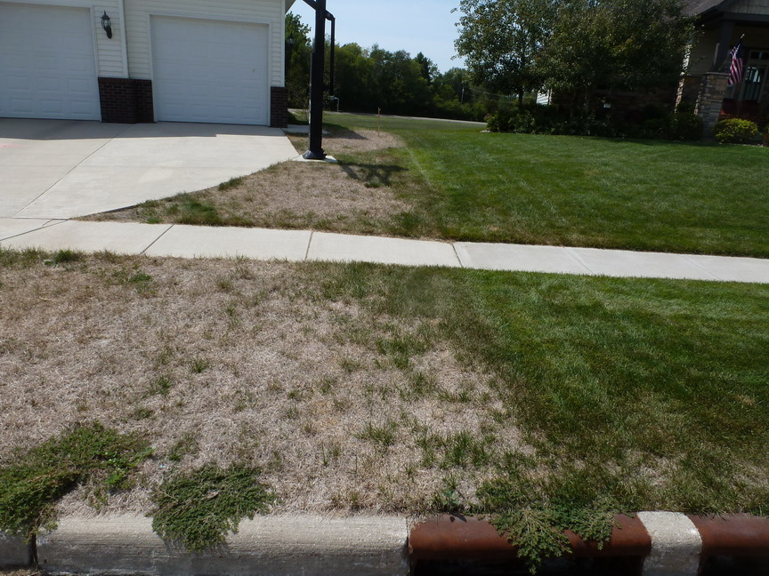 iaTURF Drought Damaged Lawns Need Help