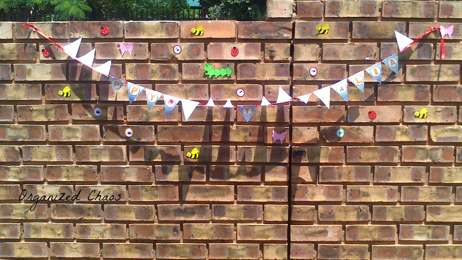 bug birthday, bug theme, bug birthday party