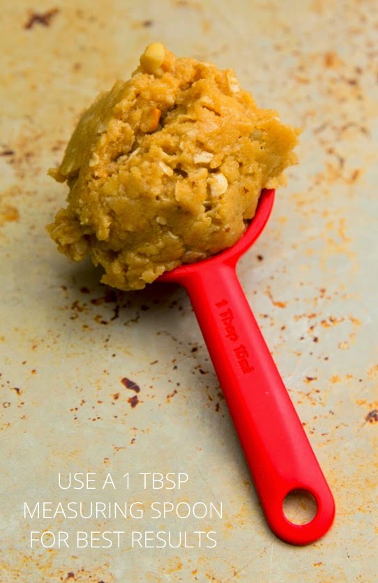 Bisque This! Peanut Butter Coconut Oil Oat Cookies