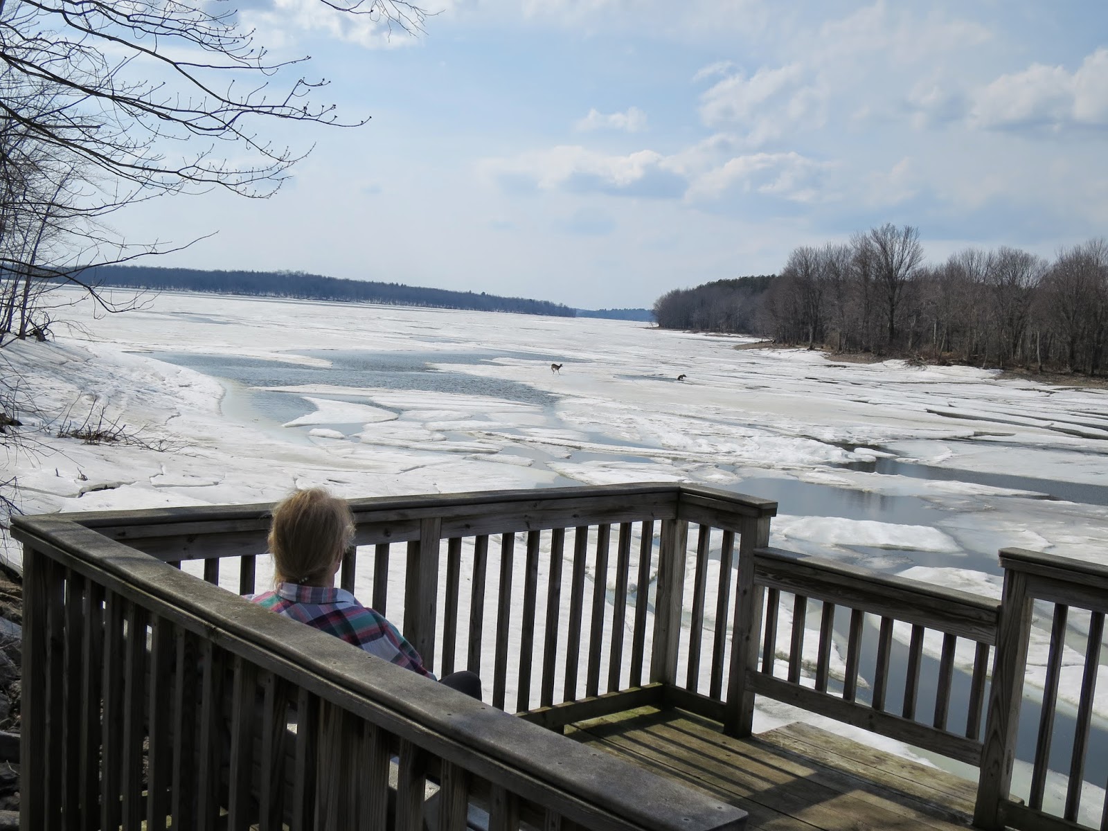 Fishing & Hunting in Oswego County, NY Salmon River Reservoir Thawing