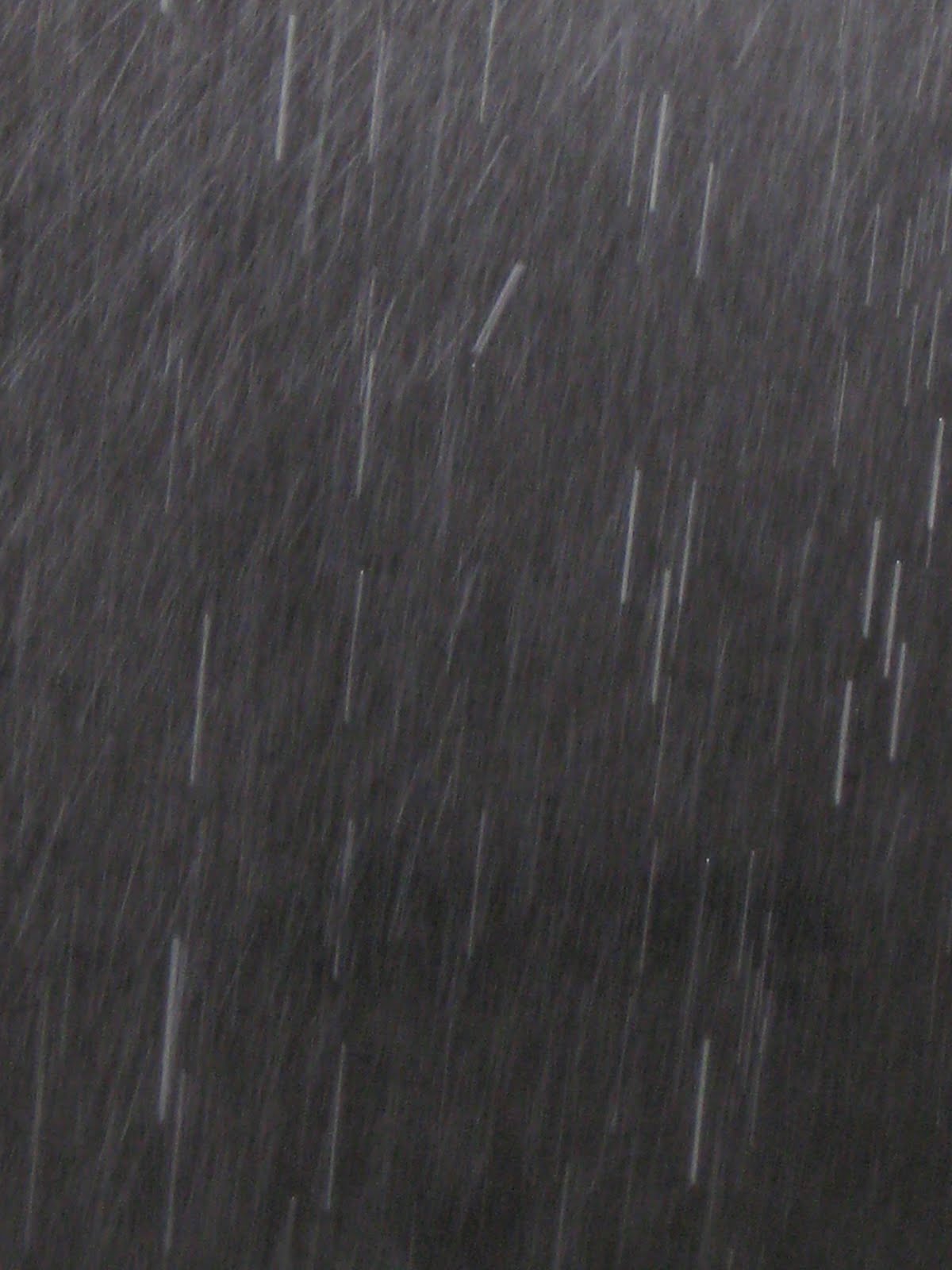 Rain Falling Down Rain Falling Down