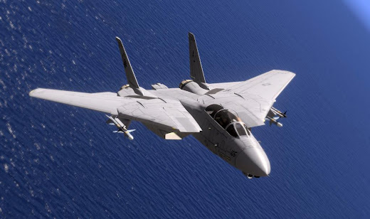 سک+سی+داستان 可変翼が動作する Arma 3 用 F-14D Tomcat アドオンの画像 ...