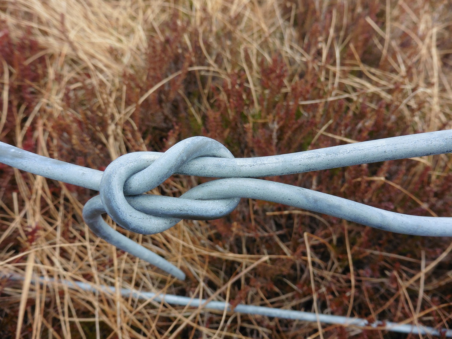 Trees, ropes, boxes and birds! Wire knots so useful