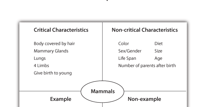A Complete Example Of Frayer Diagram