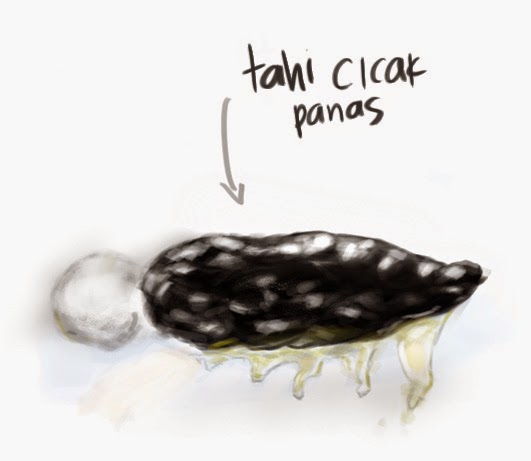 Gambar Cicak - Animasi Korea Meme Lucu Emo Bergerak