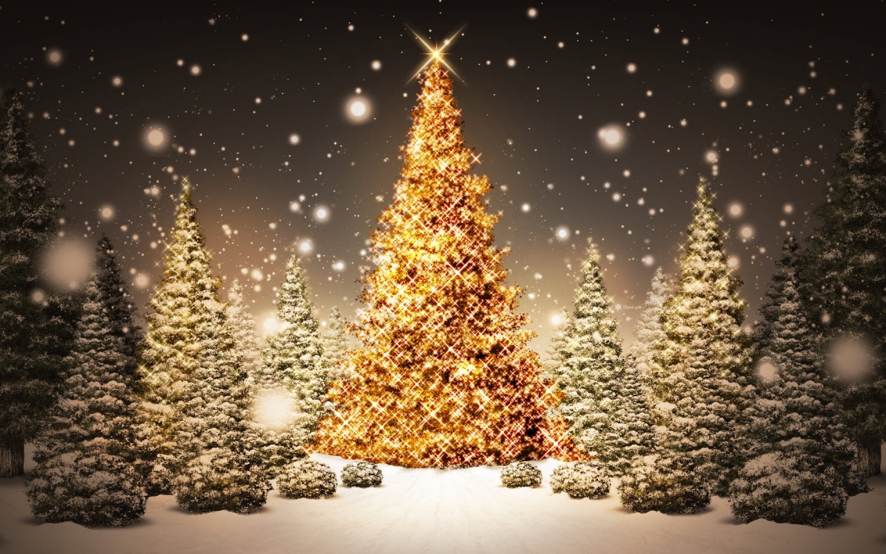 imagenes pinos de navidad - Los árboles de Navidad más peculiares (FOTOS)