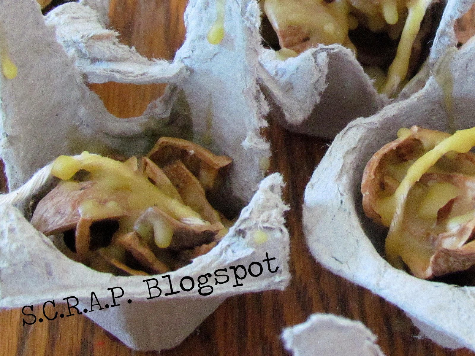 How to Make Fire Starters Using Walnut Shells and Cardboard Egg Cartons