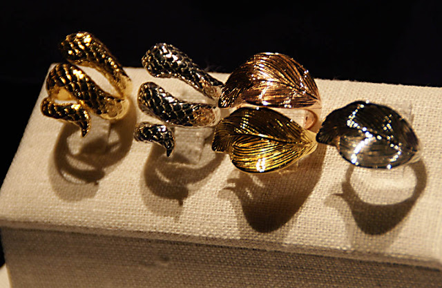 anillos-aristocrazy