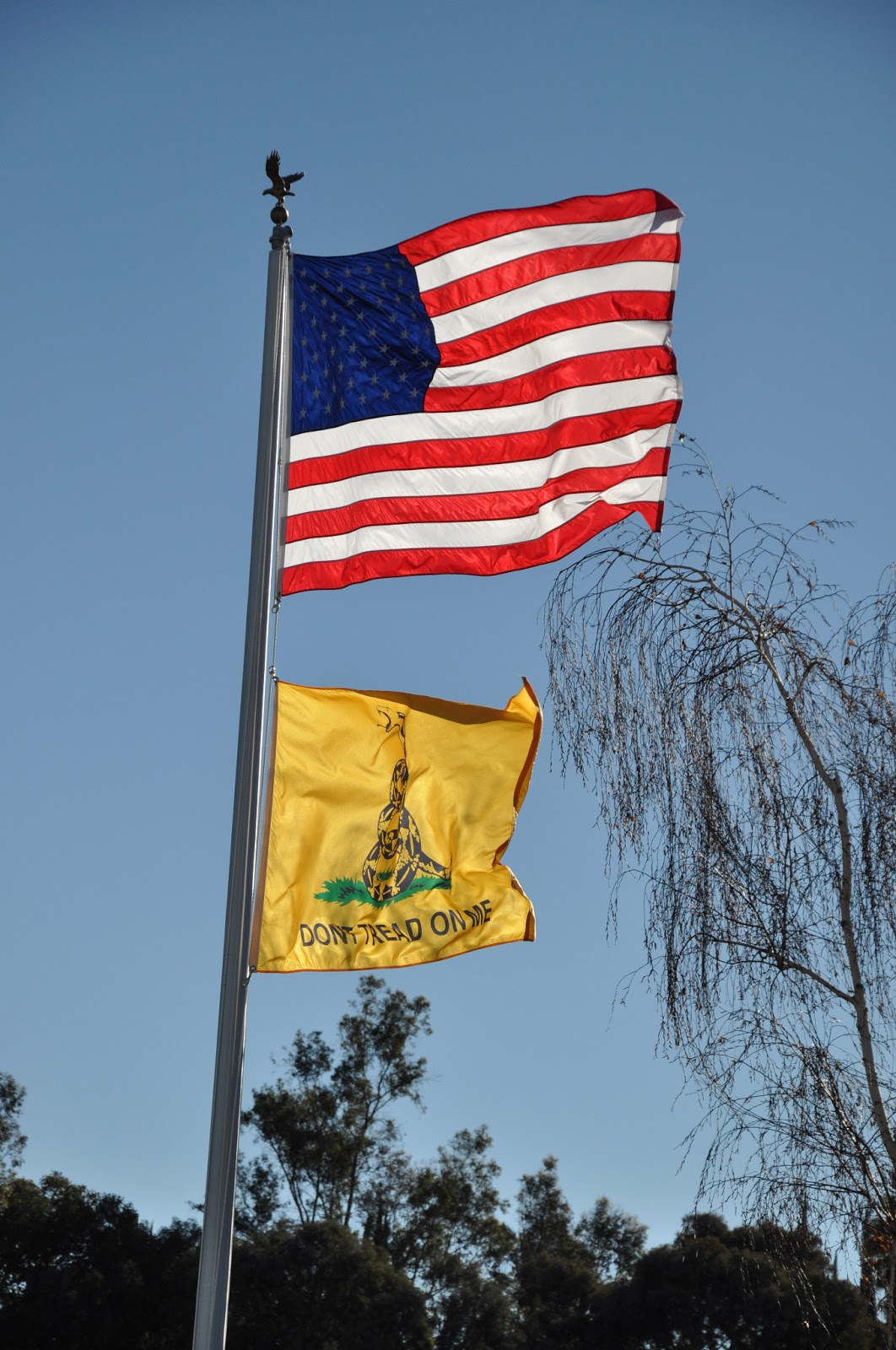 Do It Yourself Commercial Flagpole Installation from one California