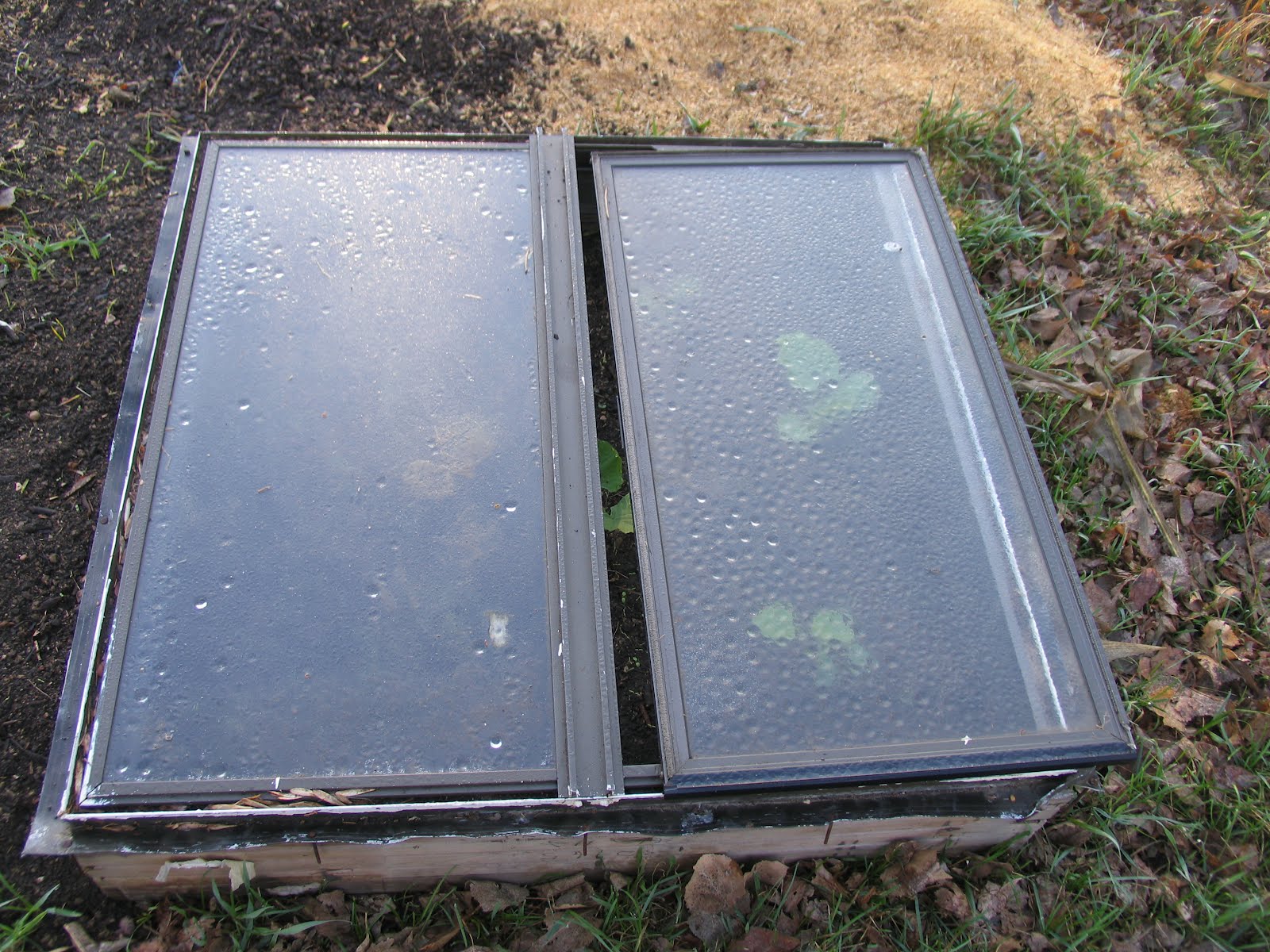 Frugal Living in South Dakota Old Frames to Cold Frames