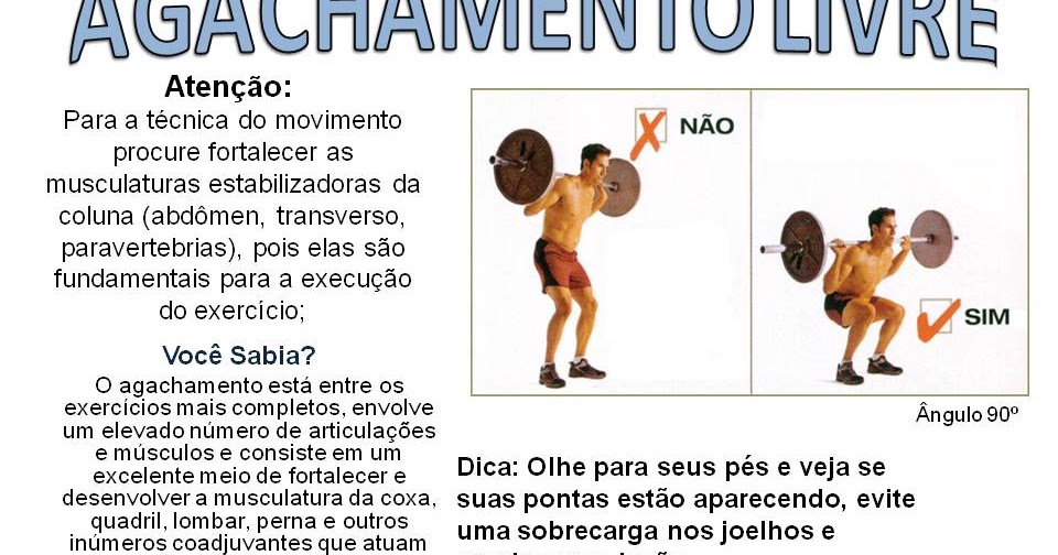 Biomecânica do agachamento: saiba tudo sobre!