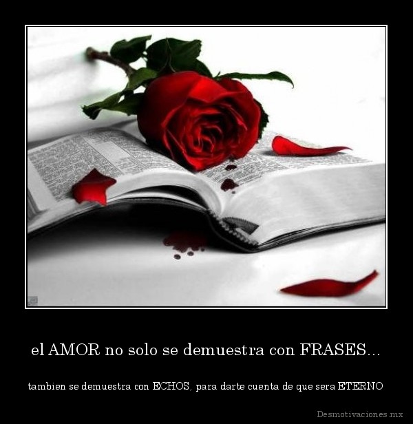 IMÁGENES | PORTADAS | FOTOS | FRASES | GRATIS | PARA FACEBOOK