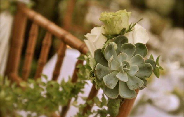 Natural health coaching : sencillas manualidades