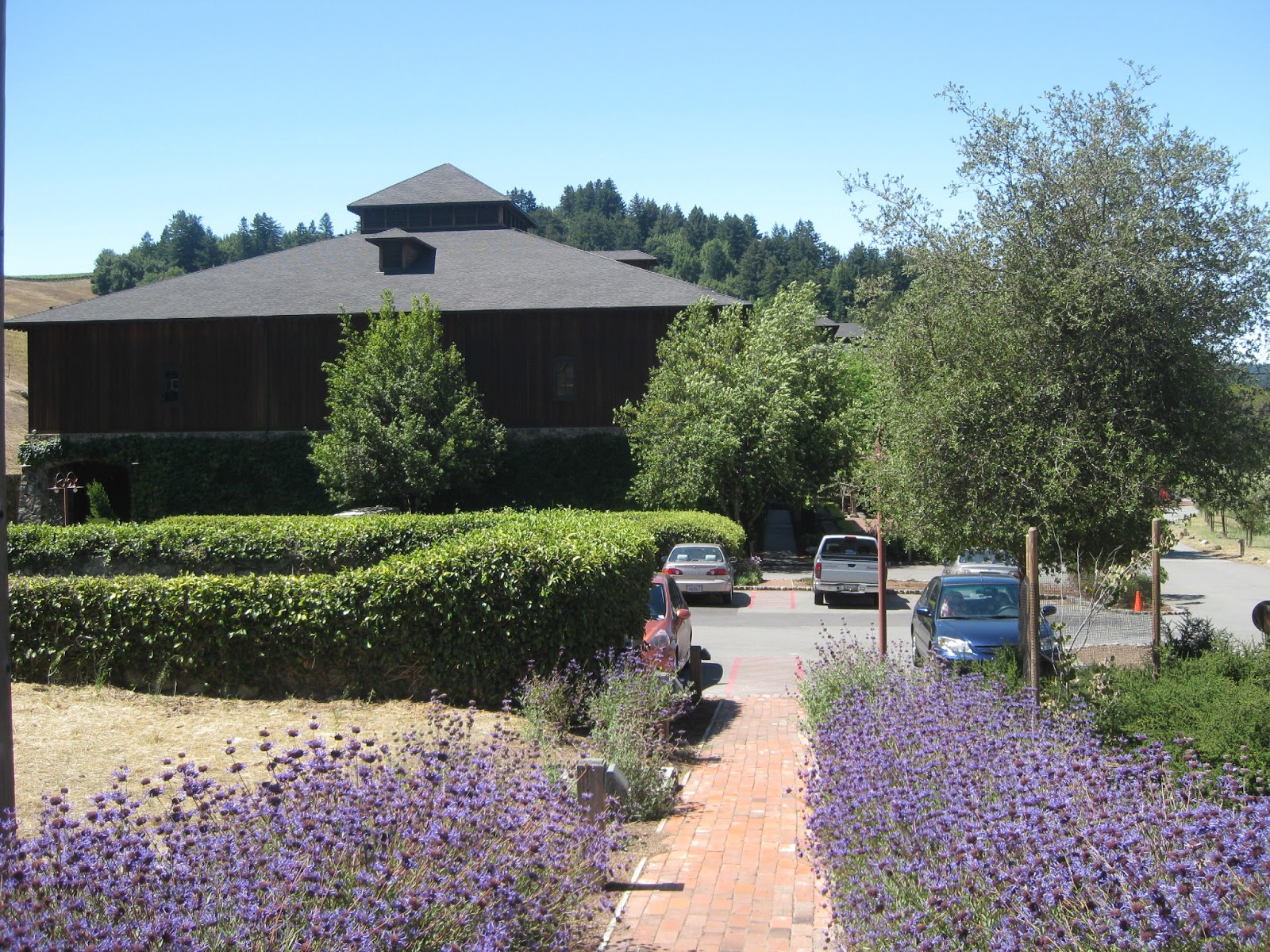 Inside House Skywalker Ranch