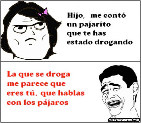 meme meme