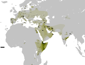 dravidian%2Bafrica.png