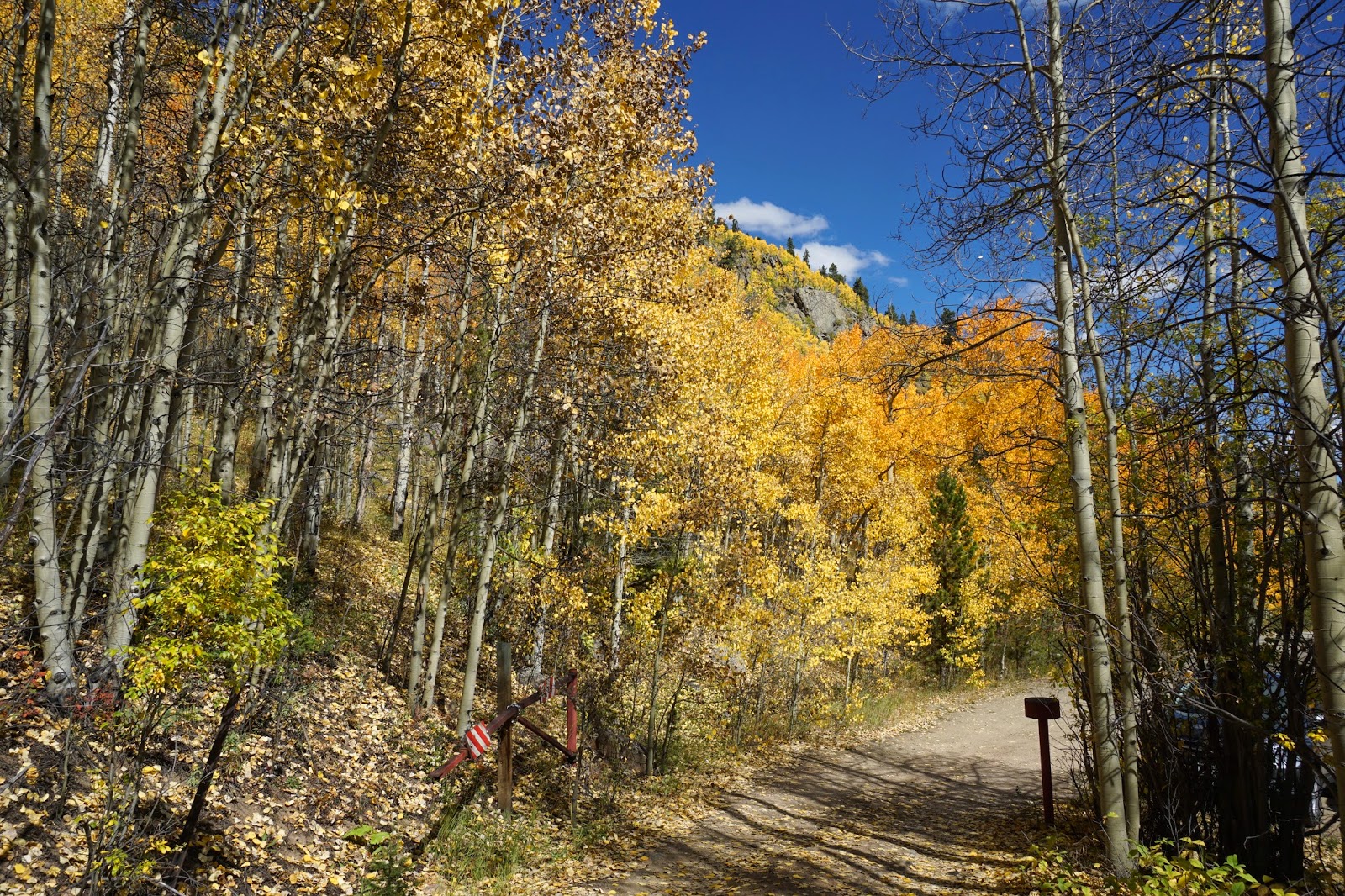 Go Hike Colorado Squaw Pass Road Fall Colors, Arapaho National Forest