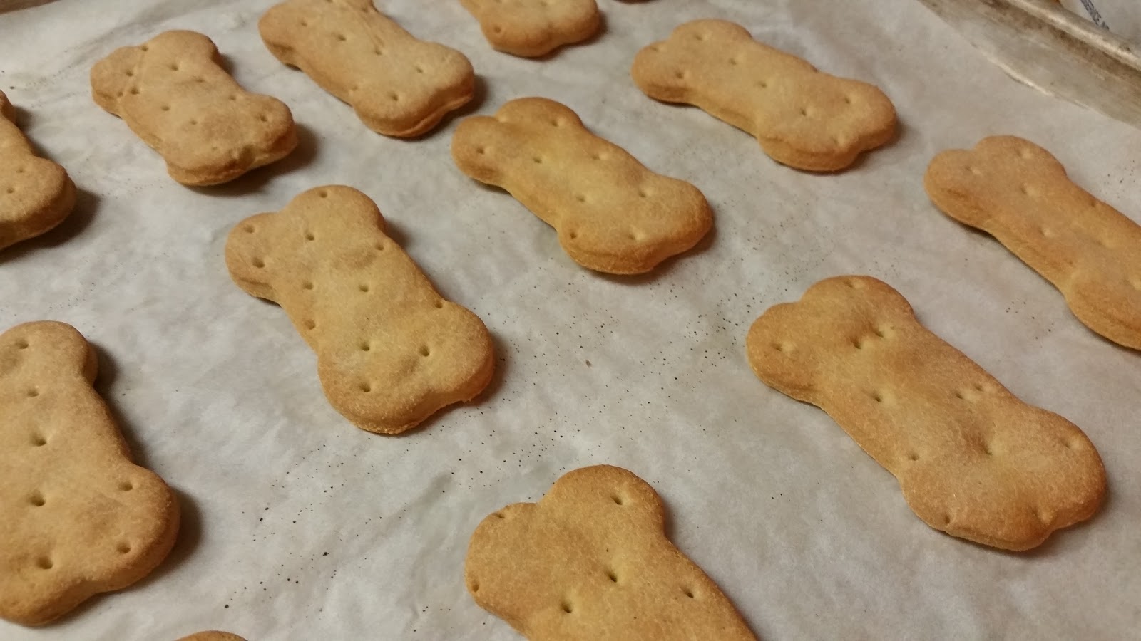 dog bone cookies for humans