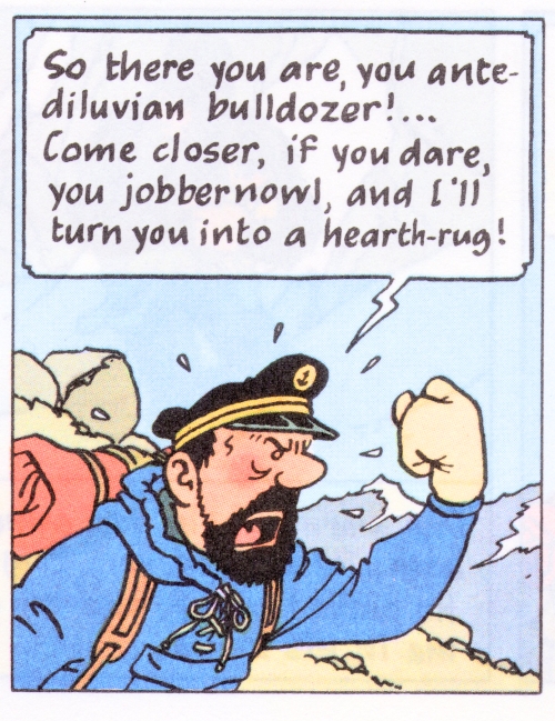 la vie en straw Captain Haddock and The Plague