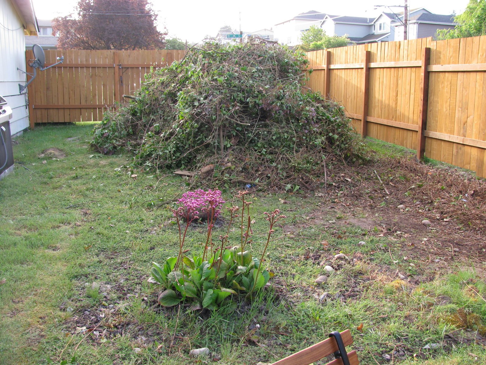 Cheryl�s Shtuff More yard projects