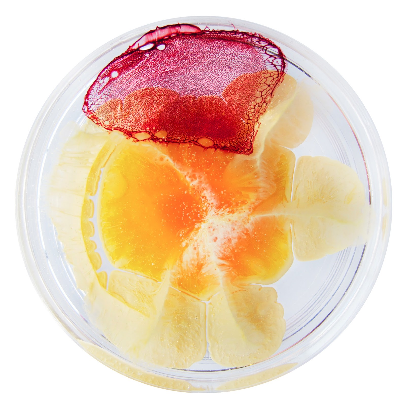 Ketchup on Orange IceCream March 26, 2013 A Daily Dish