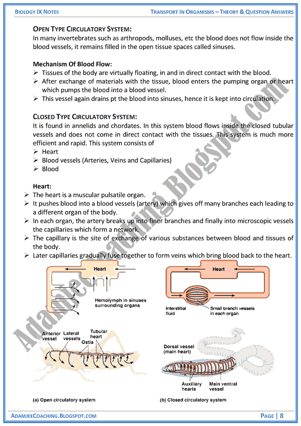 transport-in-organisms-theory-notes-and-question-answers-biology-notes-for-class-9th