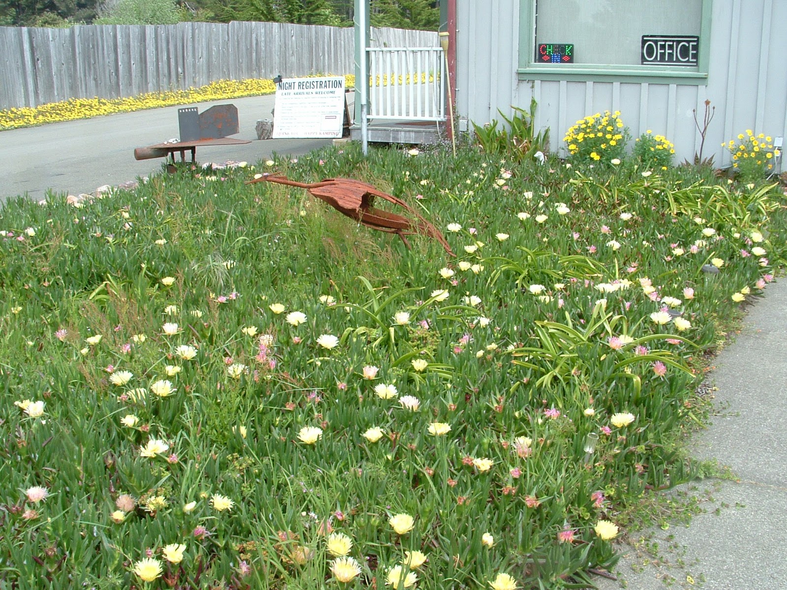 Hidden Pines RV Park Campground Fort Bragg California Fort Bragg