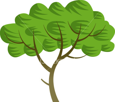 Natural Photography Cartoon Plants