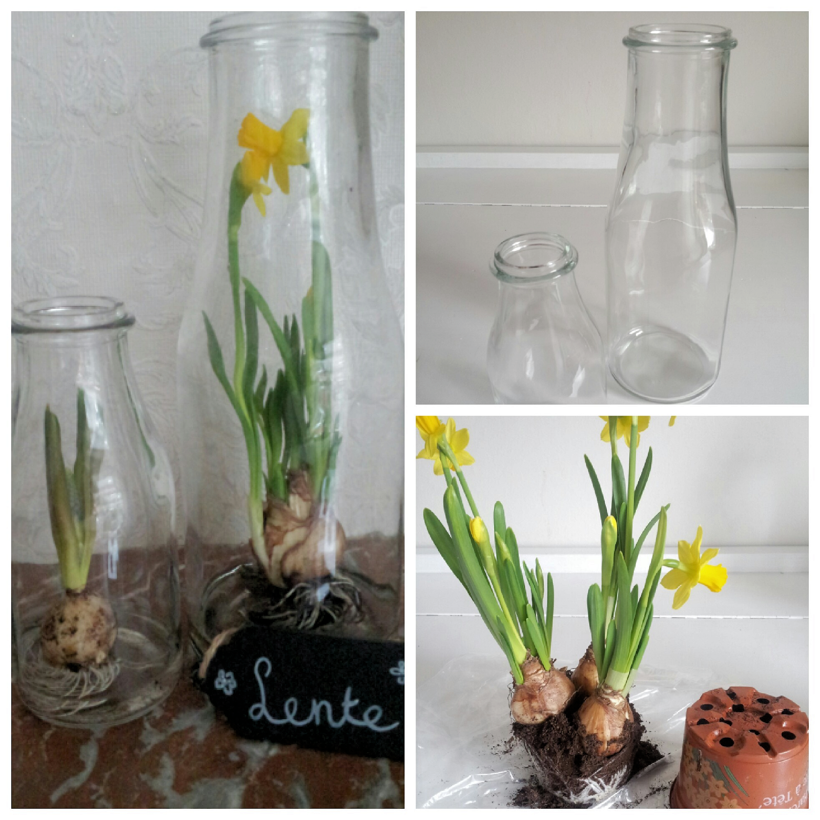 Jalien cozy living: maart 2014 Decorating ideeën leven kleur