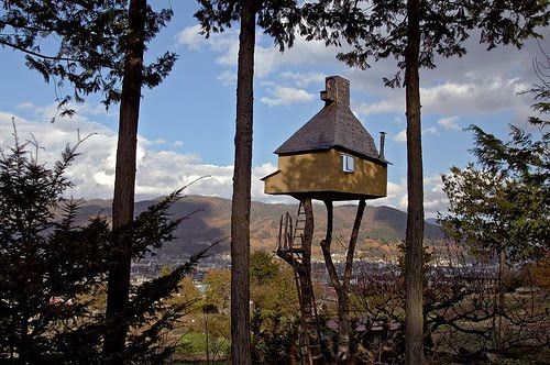 Tree House Tree House