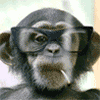 bbm Animated Pictures