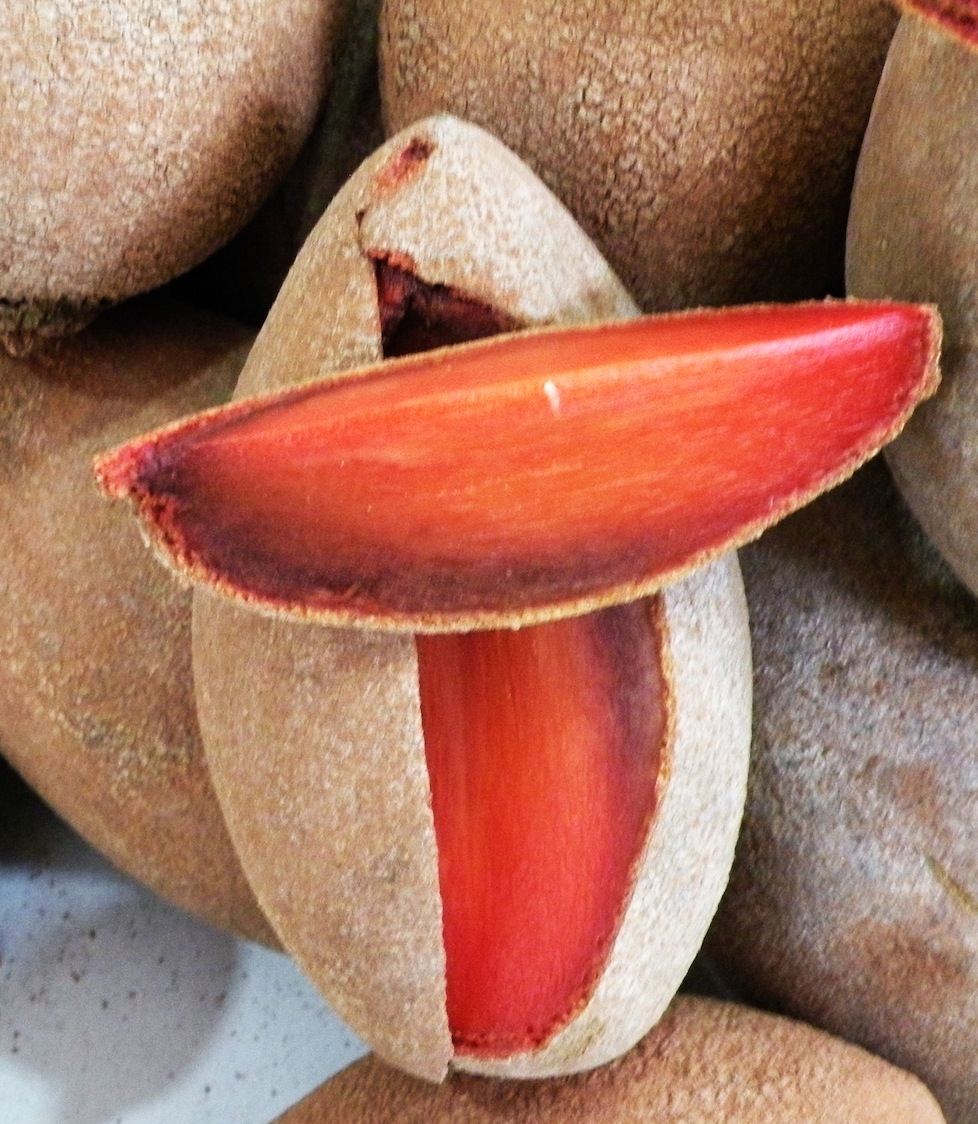 GOOD FOOD IN MEXICO CITY STRANGE FRUIT Tropical wonders from the market