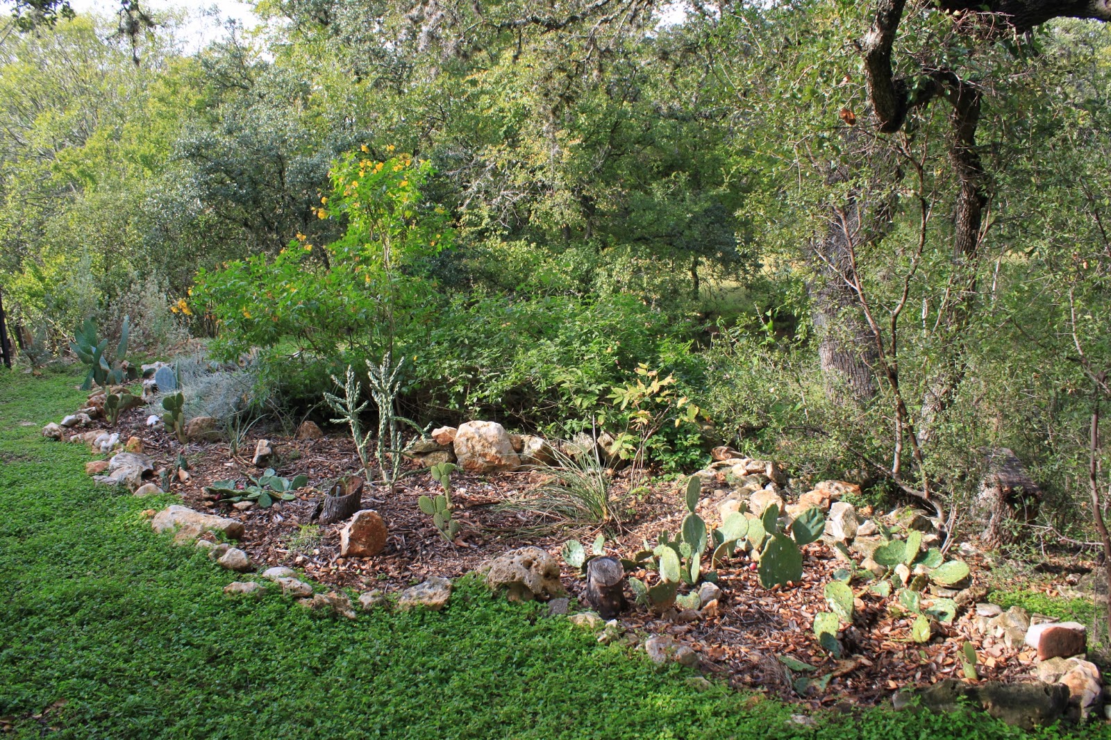 Image Result For In Home Garden Ideasa Image Result For In Home Garden Ideasa