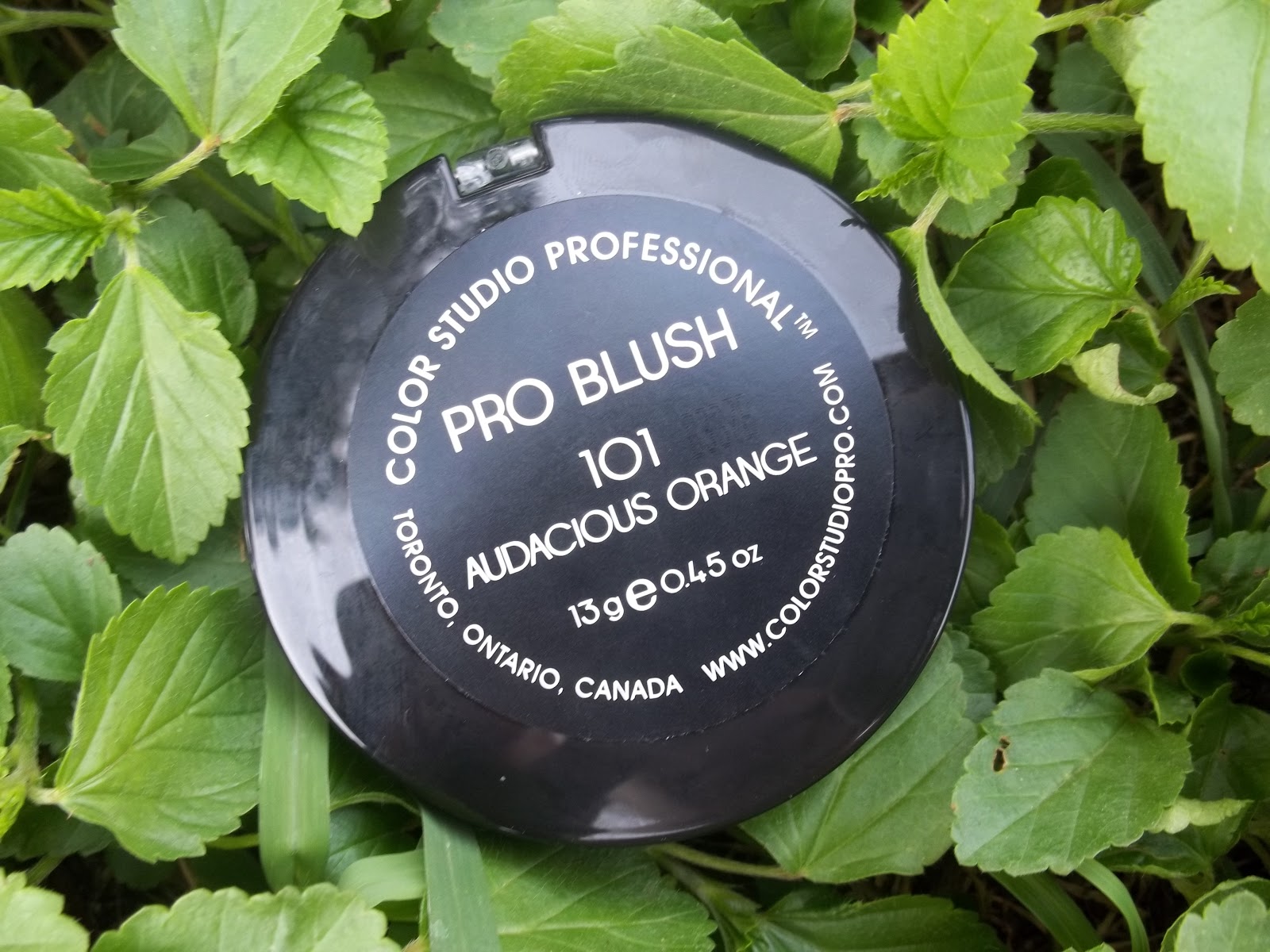 ReviewColor Studio Professional Blush Nayab Loves