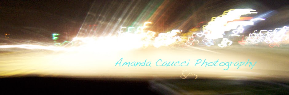 Amanda Caucci Photography