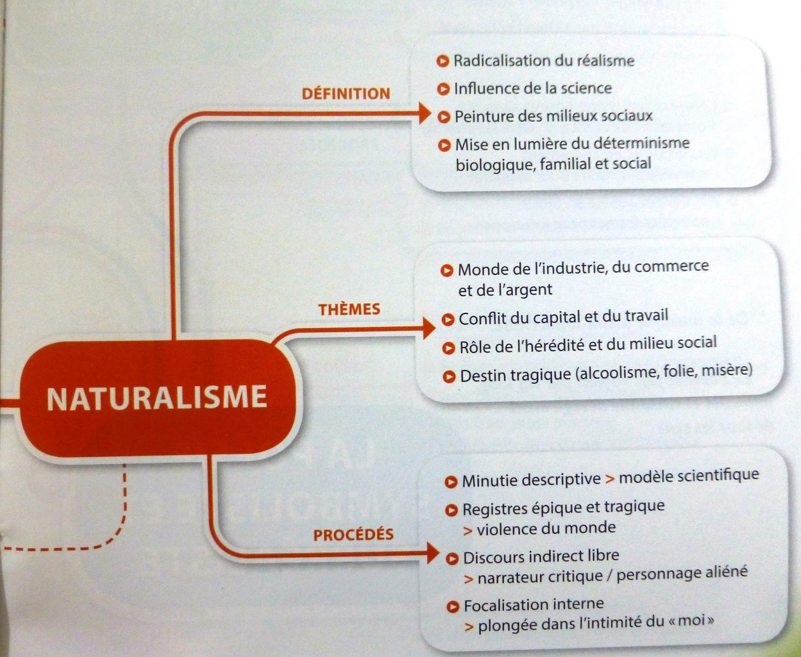 Naturalisme de famille image