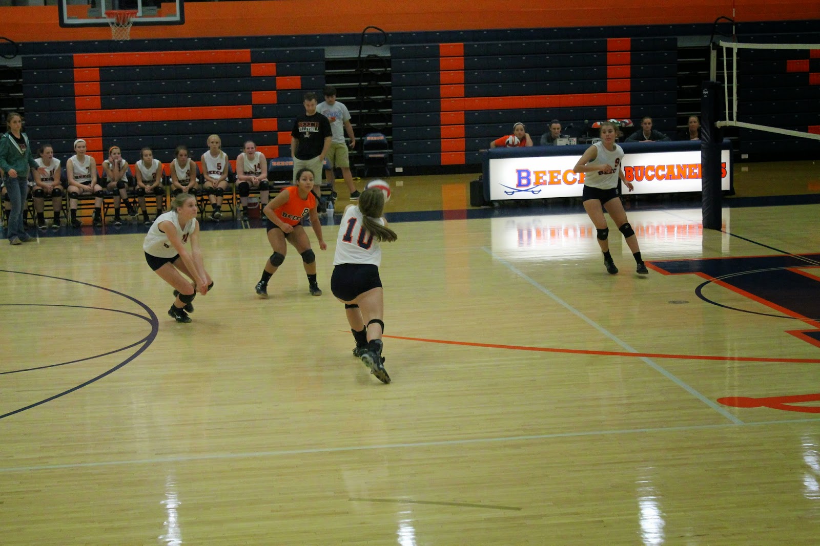 Apedaile 6 Volleyball Life