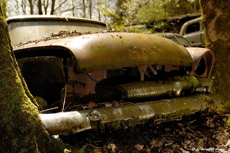 H.I.A.T. Hey, I abandoned that! Old abandoned cars in