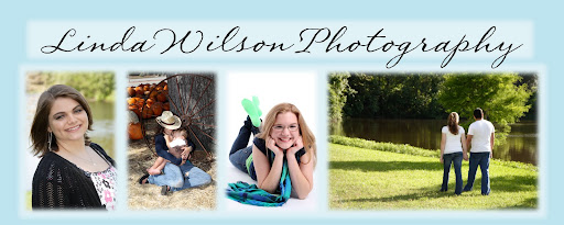 Linda Wilson Photography