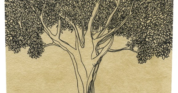 Modern Wine Dreaming Tree Cabernet From Dave Matthews And Steve Reeder